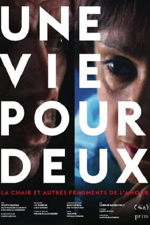 Movie poster for Une vie pour deux (2013)