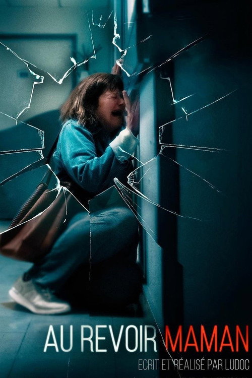 Movie poster for Au revoir maman (2023)