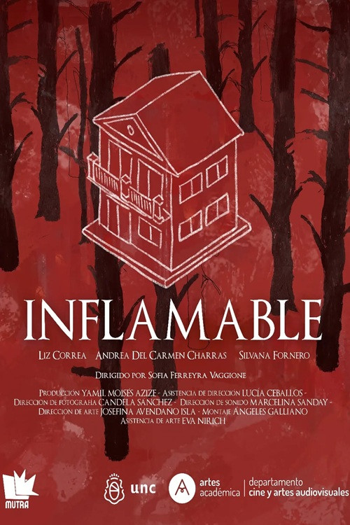 Movie poster for Inflamable (2025)