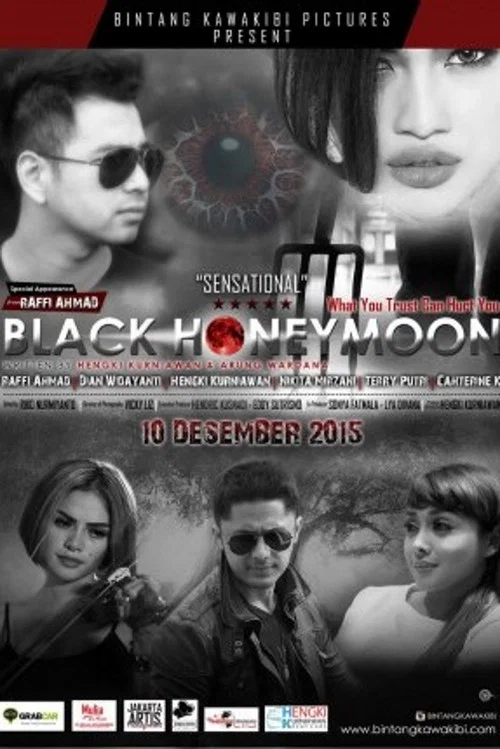 Movie poster for Black Honeymoon (2015)