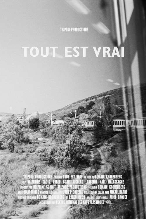 Movie poster for Tout est vrai (All Is True) (2019)