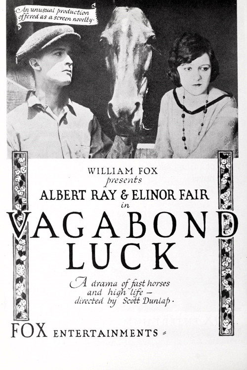 Movie poster for Vagabond Luck (1919)
