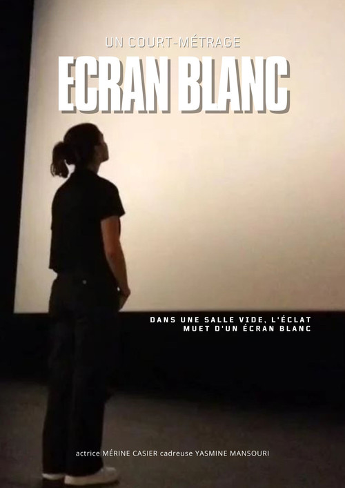 Movie poster for Écran Blanc (2024)