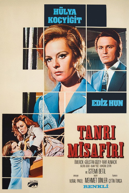 Movie poster for The Unexpected Guest (1972)