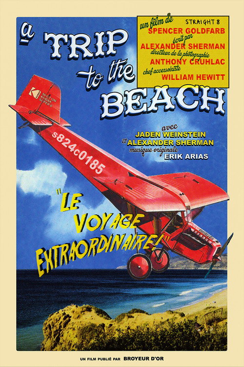 Movie poster for A Trip to the Beach (2024)