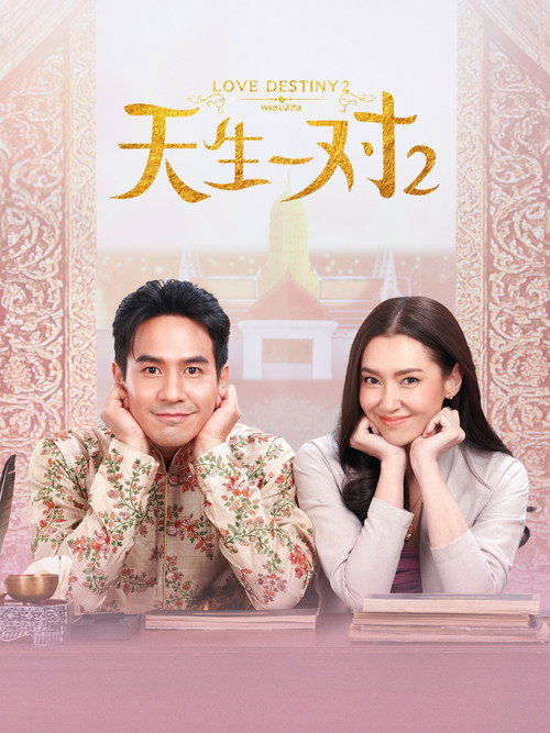 天生一对2优酷版 poster