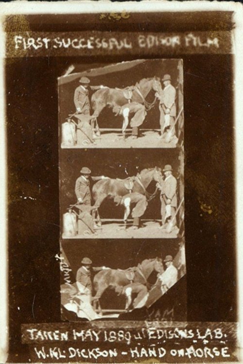 Movie poster for Horse Shoeing (1893)