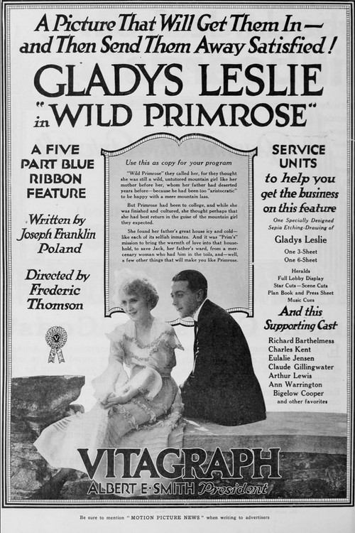 Movie poster for Wild Primrose (1918)