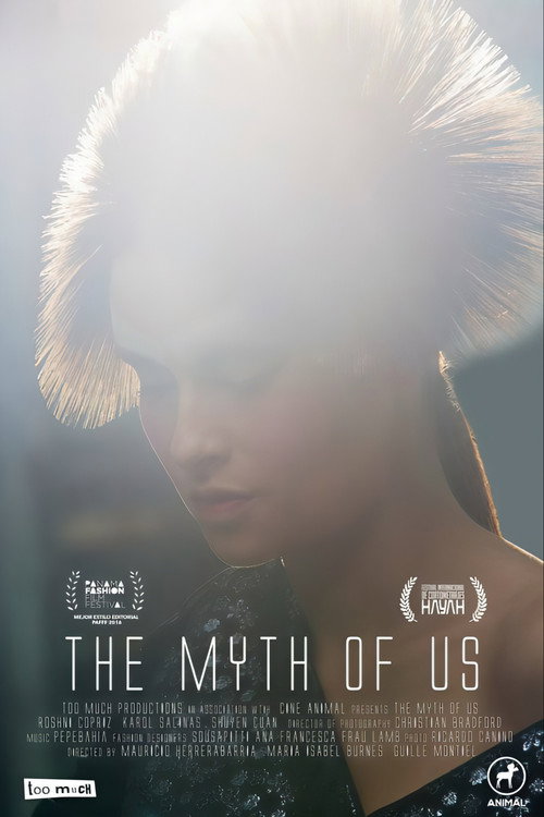 Movie poster for The myth of us