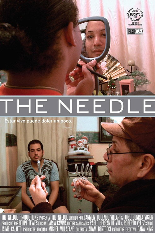 Movie poster for The Needle (2012)