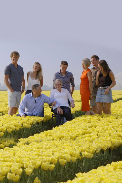 Movie poster for Het leven gaat niet altijd over tulpen (2021)