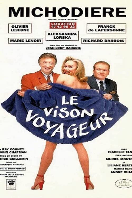 Movie poster for Le vison voyageur (1995)