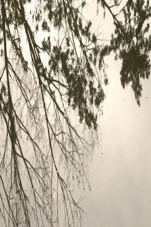 Movie poster for Walden (2022)