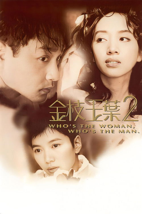 Movie poster for Who's the Woman, Who's the Man? (1996)