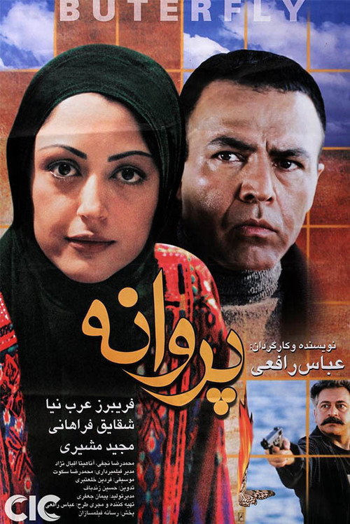 Movie poster for Butterfly in the Wind (2003)