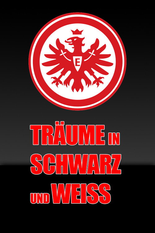 Movie poster for Träume in Schwarz und Weiss (2009)