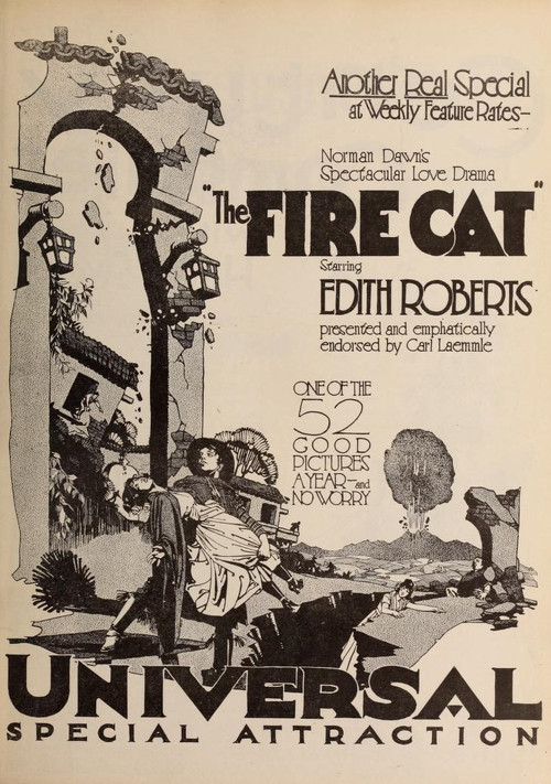 Movie poster for The Fire Cat (1921)