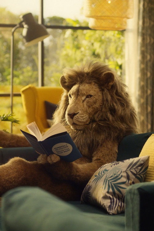 Movie poster for Lions (2018)