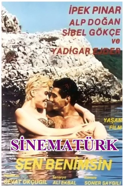 Movie poster for Sen Benimsin (1988)