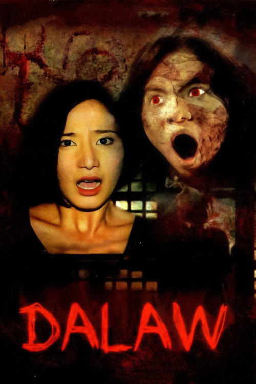 Movie poster for Dalaw (2009)