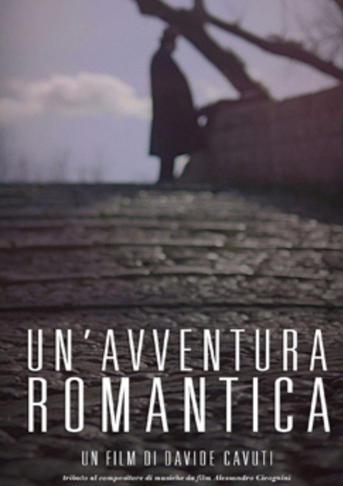 Movie poster for Un'Avventura Romantica (2016)