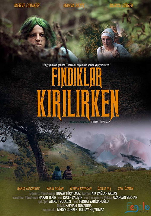 Movie poster for Fındıklar Kırılırken (2018)
