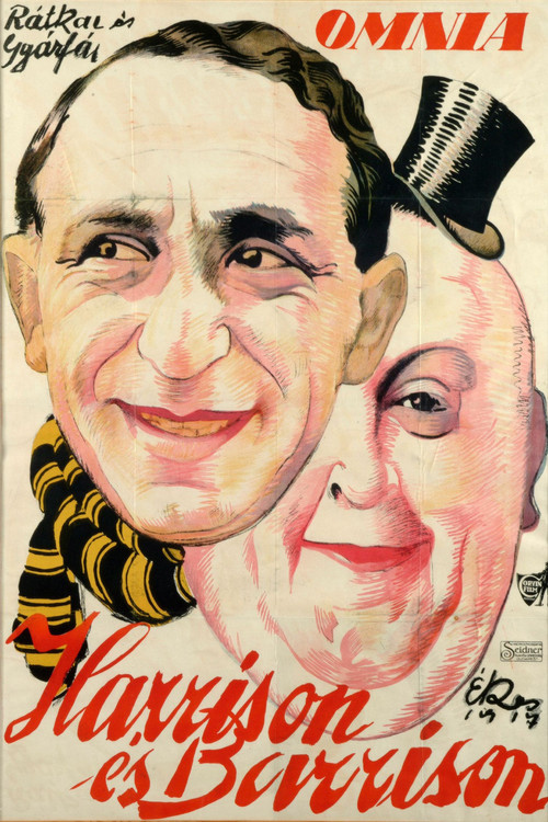 Movie poster for Harrison and Barrison (1917)
