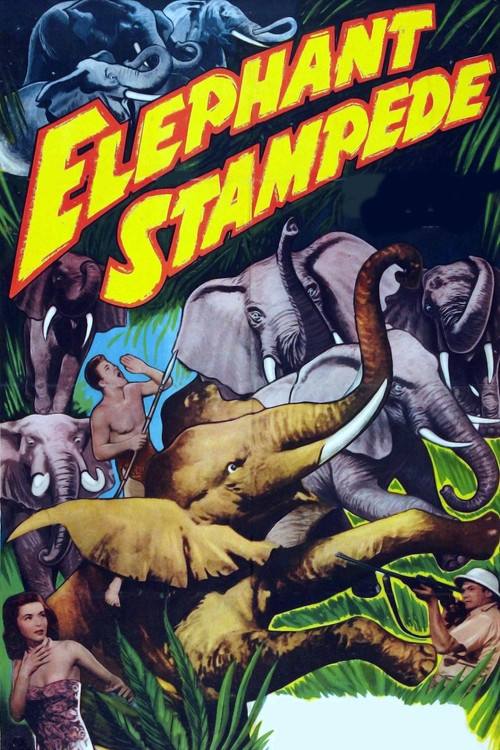 Movie poster for Elephant Stampede (1951)
