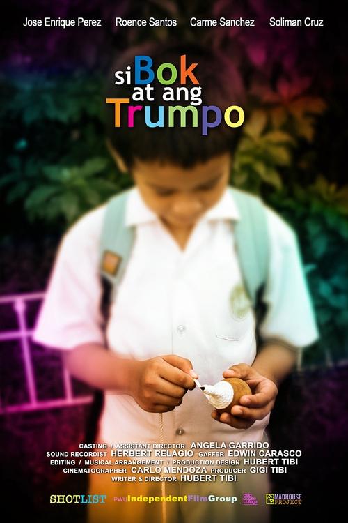 Movie poster for The Boy and His Top (2009)