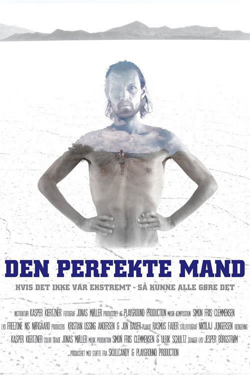 Movie poster for Den Perfekte Mand (2015)