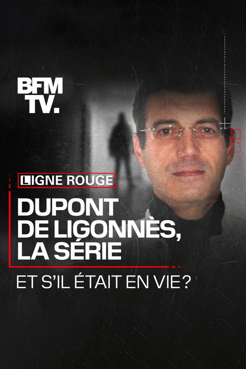 Series poster for Dupont de Ligonnès, la série (2021)