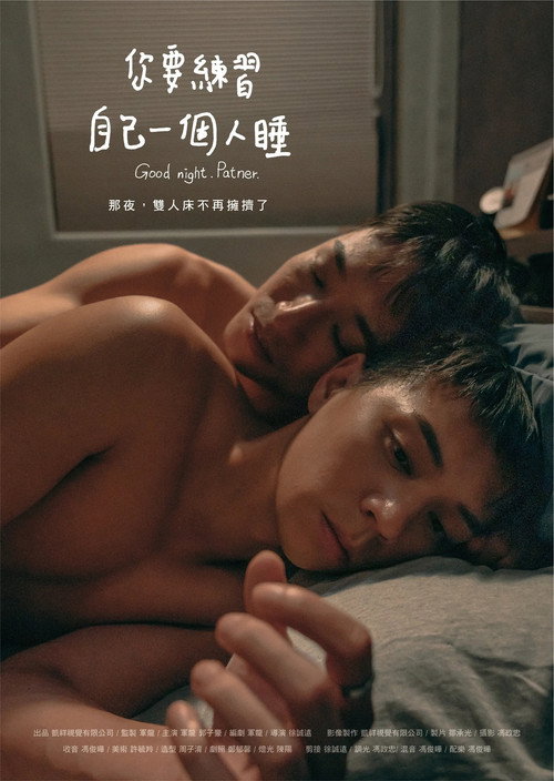 Movie poster for Good night. Partner. (2024)