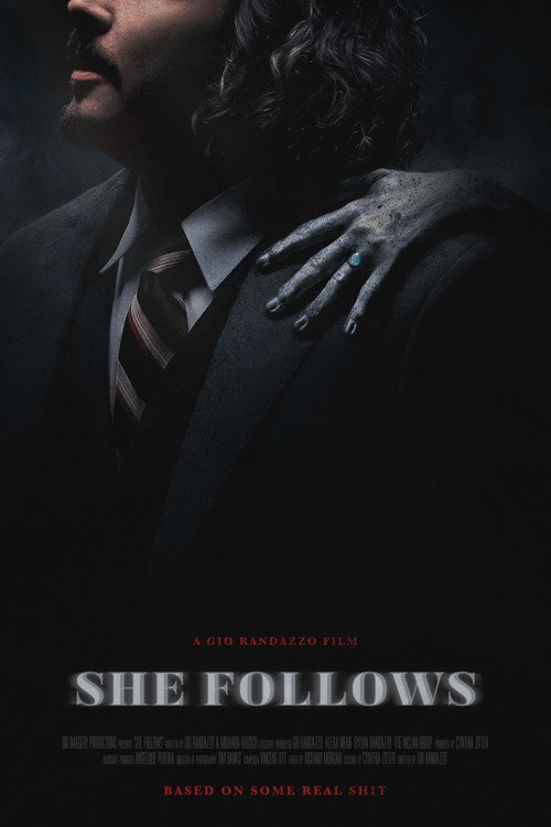 Movie poster for She Follows