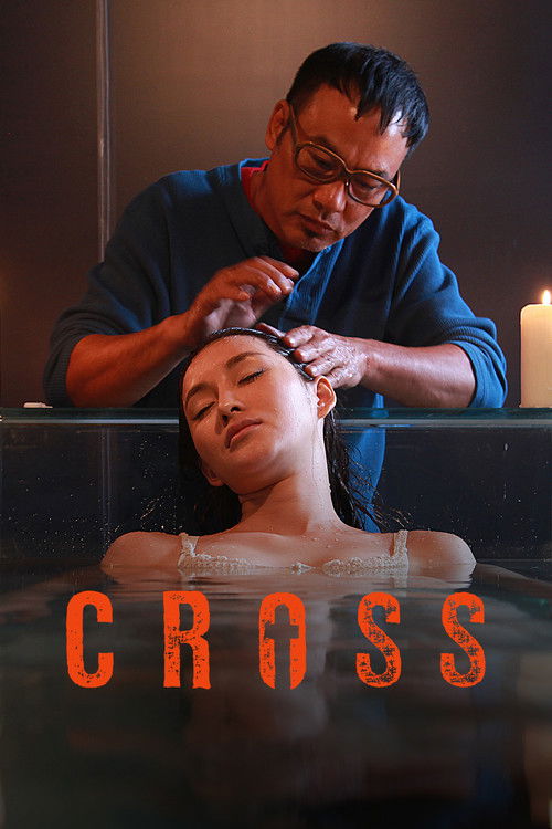 Movie poster for Cross (2012)