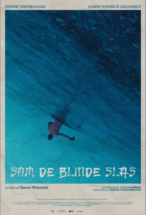 Movie poster for Brawling in Blindspots (2023)