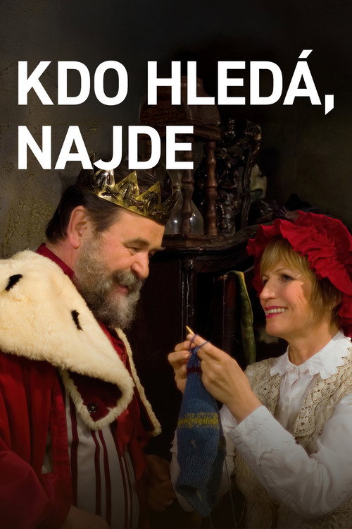 Movie poster for Kdo hledá, najde (2007)