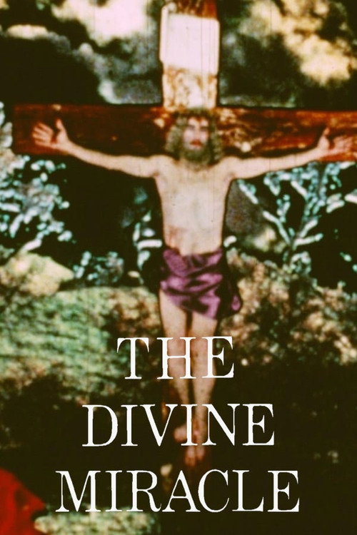 Movie poster for The Divine Miracle (1973)