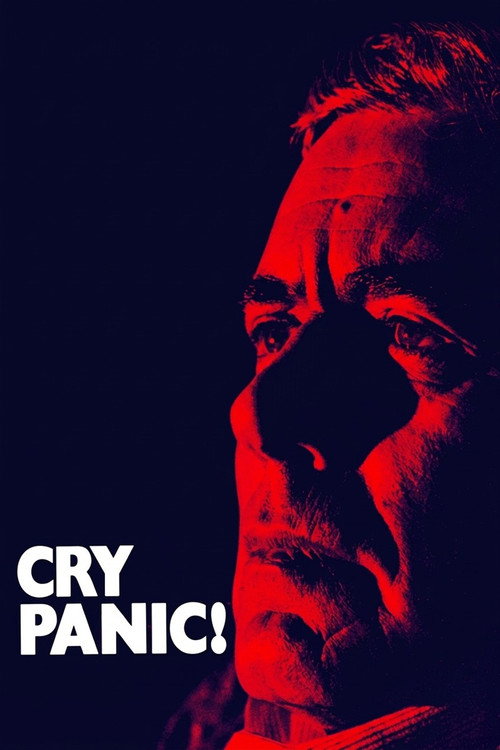 Movie poster for Cry Panic (1974)