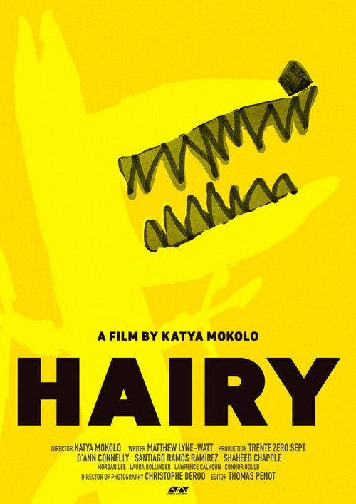 Movie poster for HAIRY (2024)