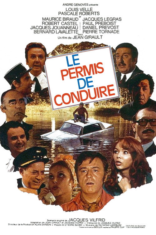 Movie poster for Le Permis de conduire (1974)