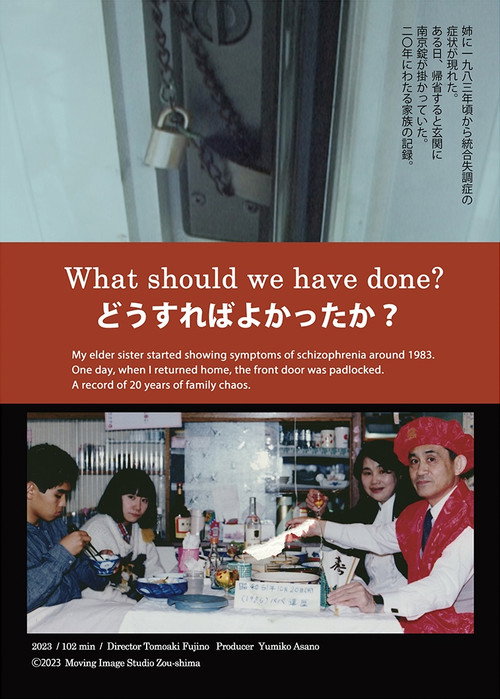 Movie poster for What Should We Have Done? (2024)