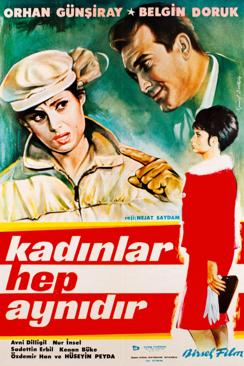 Movie poster for Kadınlar Hep Aynıdır (1963)
