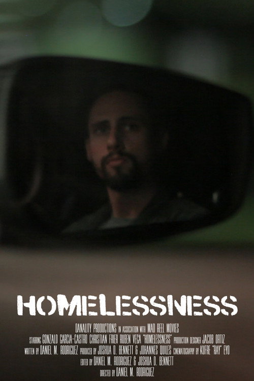 Movie poster for Homelessness (2019)