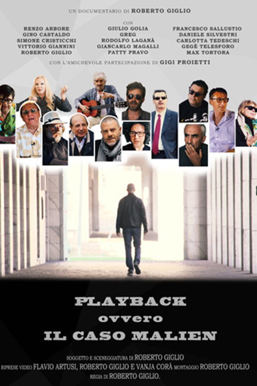 Movie poster for Playback - Il caso Malien (2016)