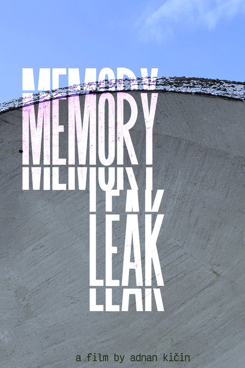 Movie poster for Memory Leak (2025)