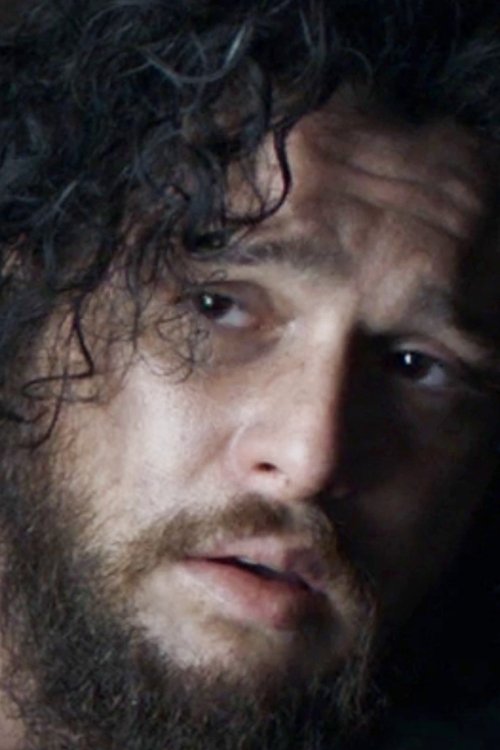 Movie poster for THE FAKE JON SNOW (2024)