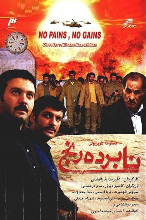 No Pains, No Gains poster