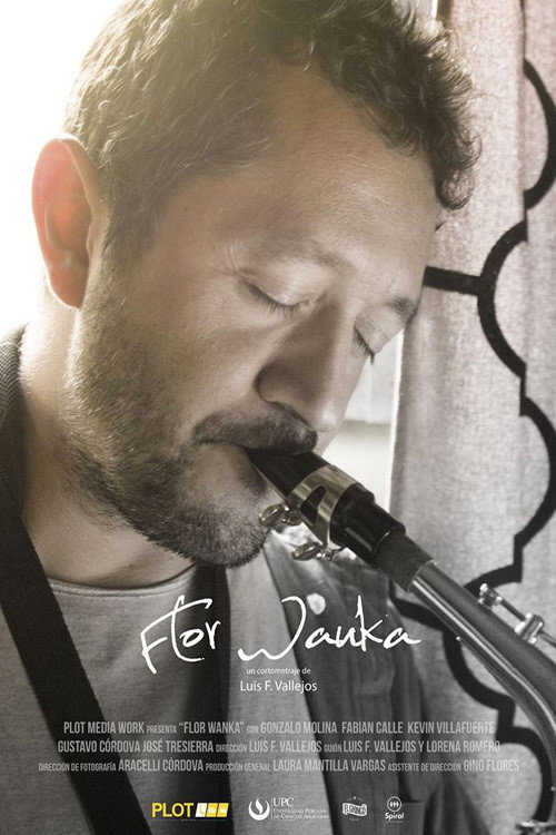 Movie poster for Flor Wanka (2017)