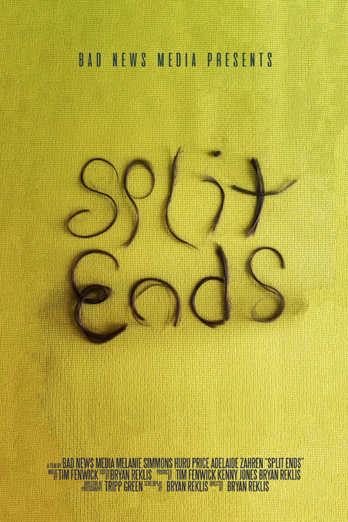 Movie poster for Split Ends (2018)