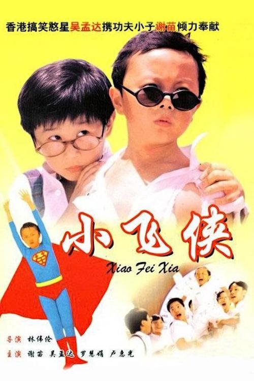 Movie poster for Teenage Master (1995)